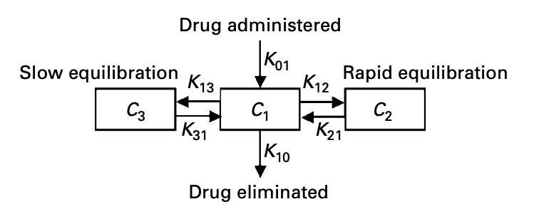 Three compartment model